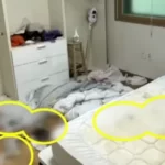 118091271.2