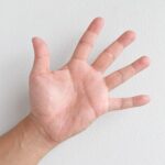 palm-g174ef788e_1280