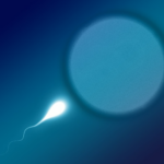 화면-캡처-2023-02-15-153653