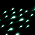 화면-캡처-2023-02-15-153705