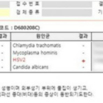 화면-캡처-2023-02-17-164225