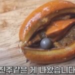 화면-캡처-2023-02-23-162055