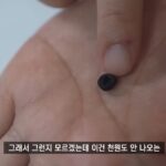 화면-캡처-2023-02-23-162237