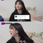 화면-캡처-2023-02-27-224324-vert