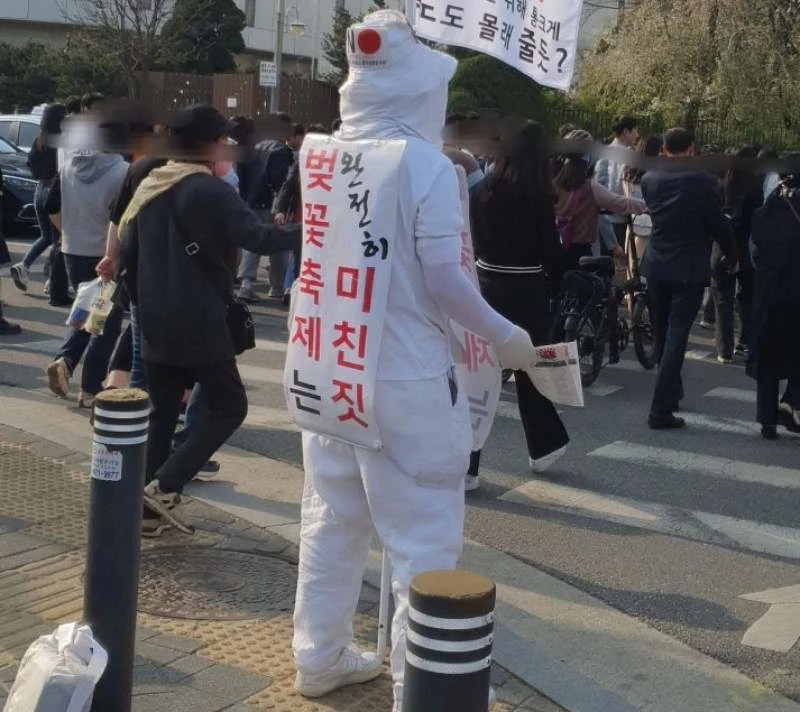 ‘벚꽃축제, 미친짓’..석촌호수에 등장한 시위남