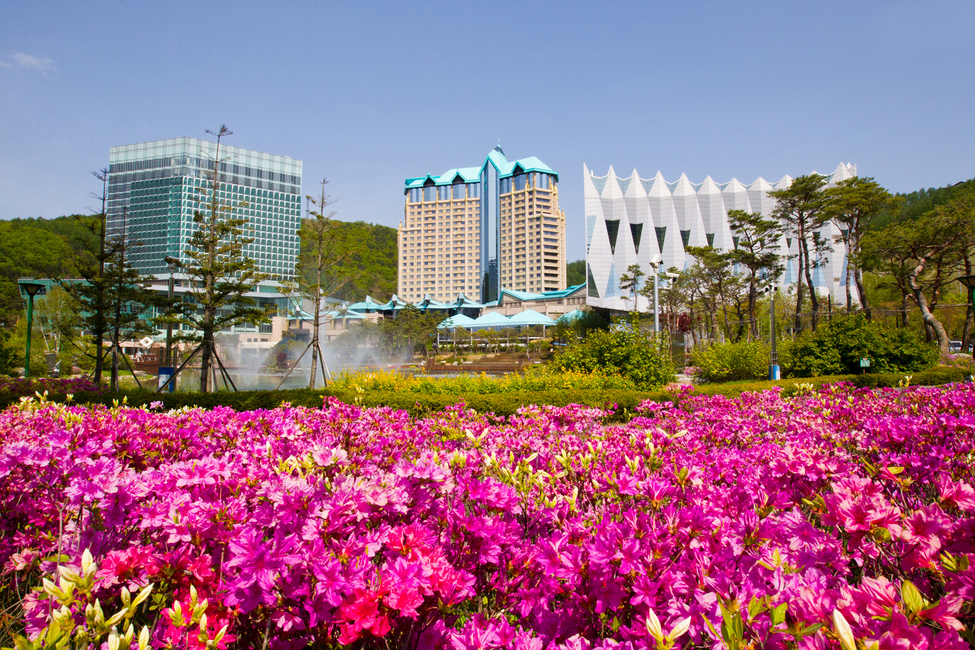 강원랜드, 2023년 하반기 신입·경력 직원 총 82명 뽑는다