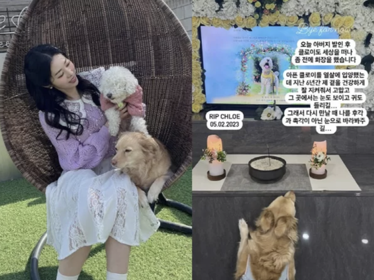 서동주, 서세원 떠나보내고 바로 슬픈 소식…