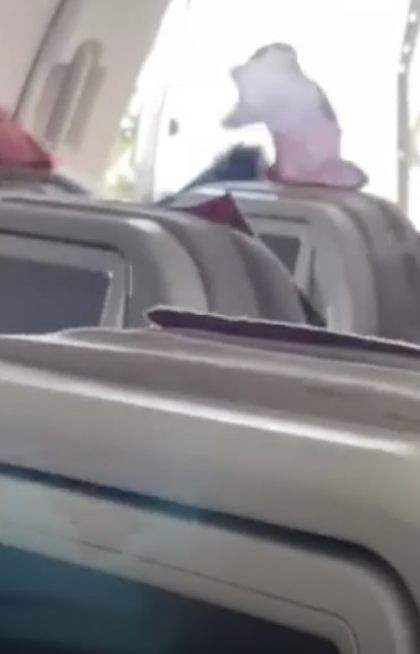 아시아나 여객기, 상공에서 문 열렸다..범인은?