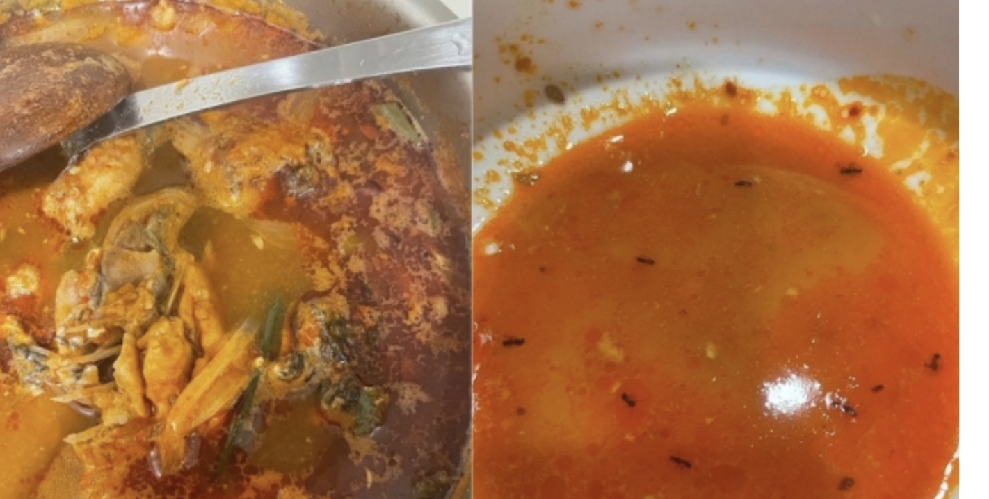 “벌레 수십마리가 둥둥”…진도 횟집, 매운탕 이물질 논란