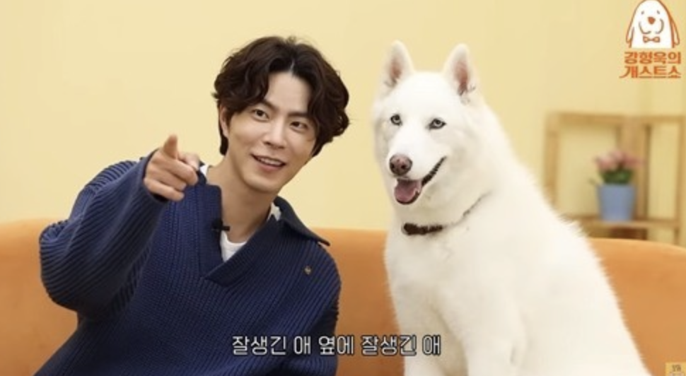 너무 잘생겨서 길거리 캐스팅 당한 홍종현 반려견