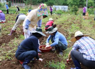 중독 회복자가 직접 기른 농작물, 취약계층에 나눔 실천
