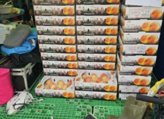 잼버리 아이들에게 기부된 복숭아…알면서도 2상자 훔쳐간 노답 부부