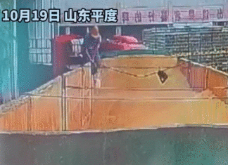 오줌발까지 딱 찍혔다, 충격의 칭다오 맥주 공장 영상(움짤) 칭다오 맥주 제3공장