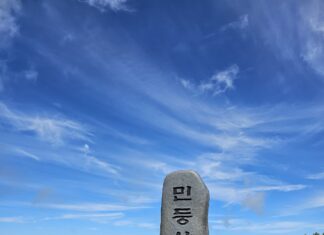 올 가을 강원도 정선 민둥산정상 억세밭을 가다!! 민둥산 정상