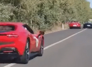 람보르기니·페라리의 추월싸움…지옥으로 변한 슈퍼카 행사 슈퍼카 사고