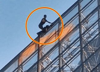 루브르 박물관 피라미드 기어 올라간 남성, 그 다음 벌인 일이…