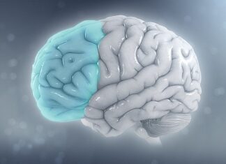 뇌과학의 진화, 생각 속 ‘감정’까지 읽어내다