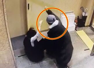 배현진에 아직도 사과 안 한 중학생…아빠가 판사라는데, 진실은? 배현진 피습 모습