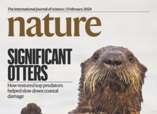 뇌 속 노폐물 청소하는 뇌척수액 배출방법 찾았다 치매도 치료하는 시대 곧 가능 곧 치매극복의 길이 열릴듯!!