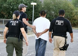 Vietnam Escapee: Man Fleeing to Da Nang After Robbing Bank in South Korea Apprehended 뱃살때문에 검거된 범인