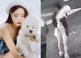 강남 벤츠녀는 DJ예송?…딱 걸린 인스타 강아지 사진 증거 강남 벤츠녀, 예송