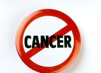 바다의 꽃 ‘멍게’로 만든 항암치료제의 숨겨진 효능 찾았다. 멍게 추출물로 항암치료 한단게 발전