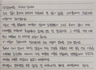 Love is Over: K-Pop Idol Karina and Actor Lee Jae Wook Split After Just 5 Weeks 카리나 손편지