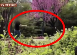 공원에서 낚시대를 휙휙…1년째 동네에서 낚시하는 남성