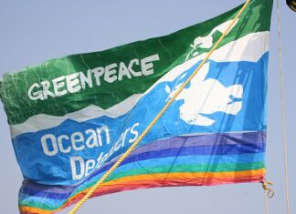 “Eco-Hypocrite!” Korean Actor’s Greenwashing Drama Ignites Firestorm Against Greenpeace