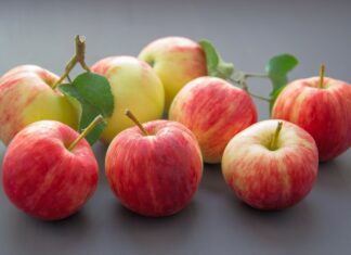 매일 한 숟가락씩 마시는 사과식초의 효능 사과