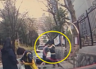 “대형견 입마개 해달라” 한마디에, 전치 3주 폭행 무슨 일?