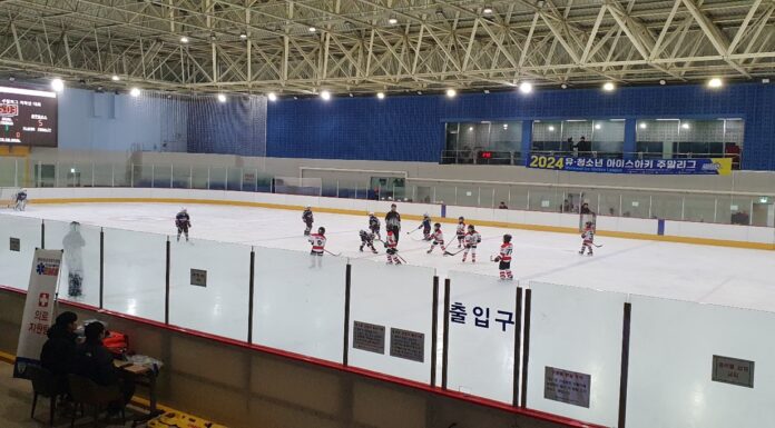‘운동과 공부를 함께‘하는 유·청소년 아이스하키 주말리그 개막 정규리그 5월 4일부터 9월 29일까지 권역별 우승팀 가린 후 왕중왕전 토너먼트 진행