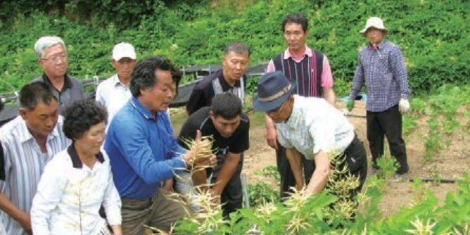 산나물 키워 연 2억 버는 산야초 달인… 최상근 뫼들산채 대표 최상근 명인이 산채 재배 기술을 전수하고 있다.