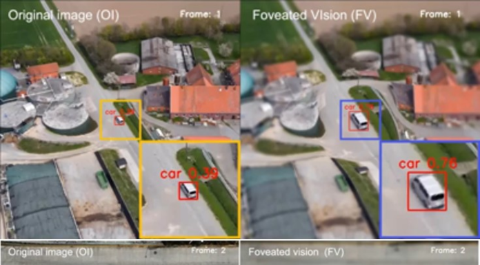 하늘 위의 포식자, 독수리 눈 닮은 카메라 개발 기존 카메라 시스템(왼쪽)에 비해 물체 감지 특화 카메라(오른쪽)는 중심와 시야 물체를 확대하여 물체 인식률이 우수하다