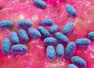 올해 환자만 90배 늘었다는 전염병…백일해 증상은? 백일해