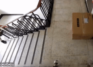 엘베 없는 5층 택배기사가 컴퓨터 박스 냅다 패대기치는 영상