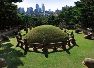 새벽 2시에 성종 무덤 마구 파헤친 의문의 여성 정체