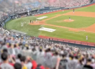 잠실야구장 야외주차장서 여성 납치하려다 실패한 남성