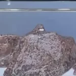 converted_image (67)