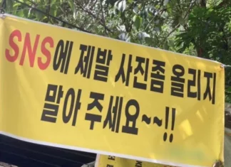 “제발 사진 올리지 마세요” 진천 계곡 맛집 현수막의 숨은 뜻