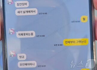 “새가 날개에 껴서, 유언해야 하나”…무안공항 여객기 탑승객 마지막 카톡