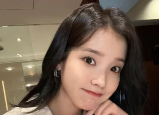 아이유도 탄핵 시위 응원 “팬들에 빵·떡·국밥 역조공”