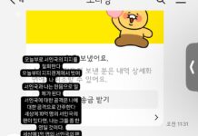 주접 대마왕 서인국 여동생 인스타스토리