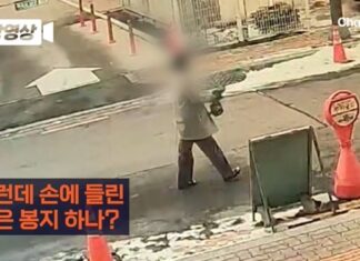 대전 40대 교사 CCTV 공개…주머니에 손 넣고 흉기 구매